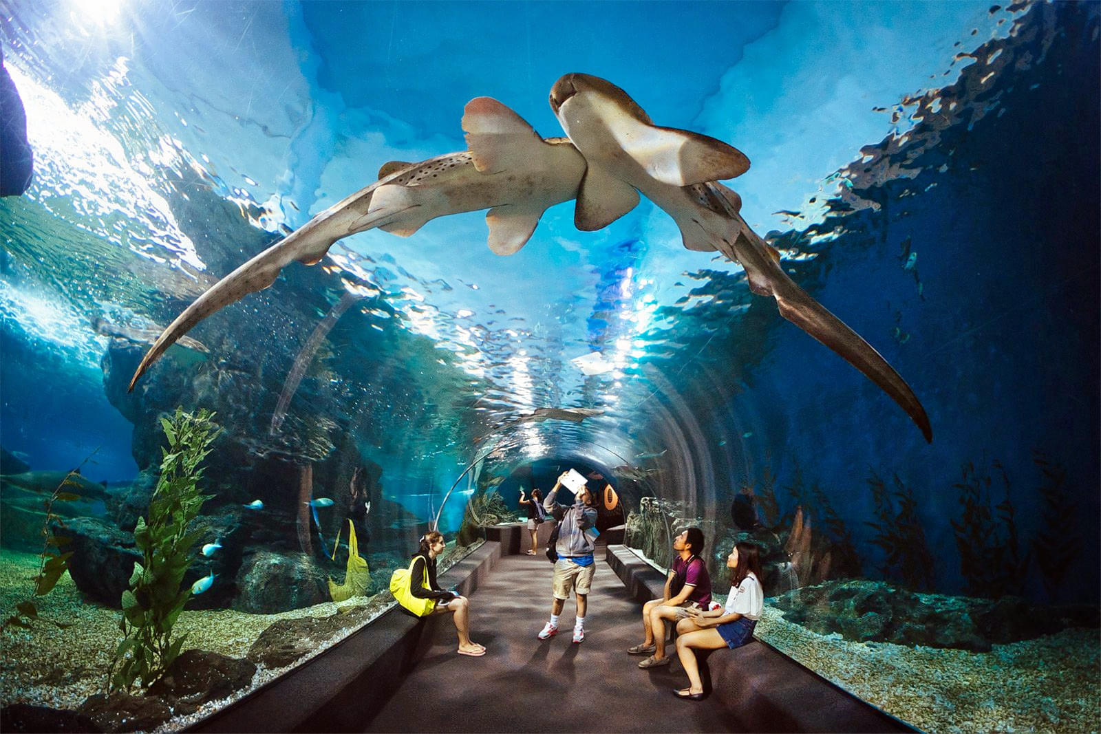  Underwater World, Pattaya