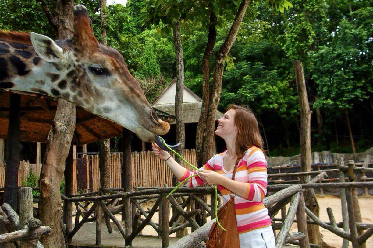  Chiang Mai Zoo