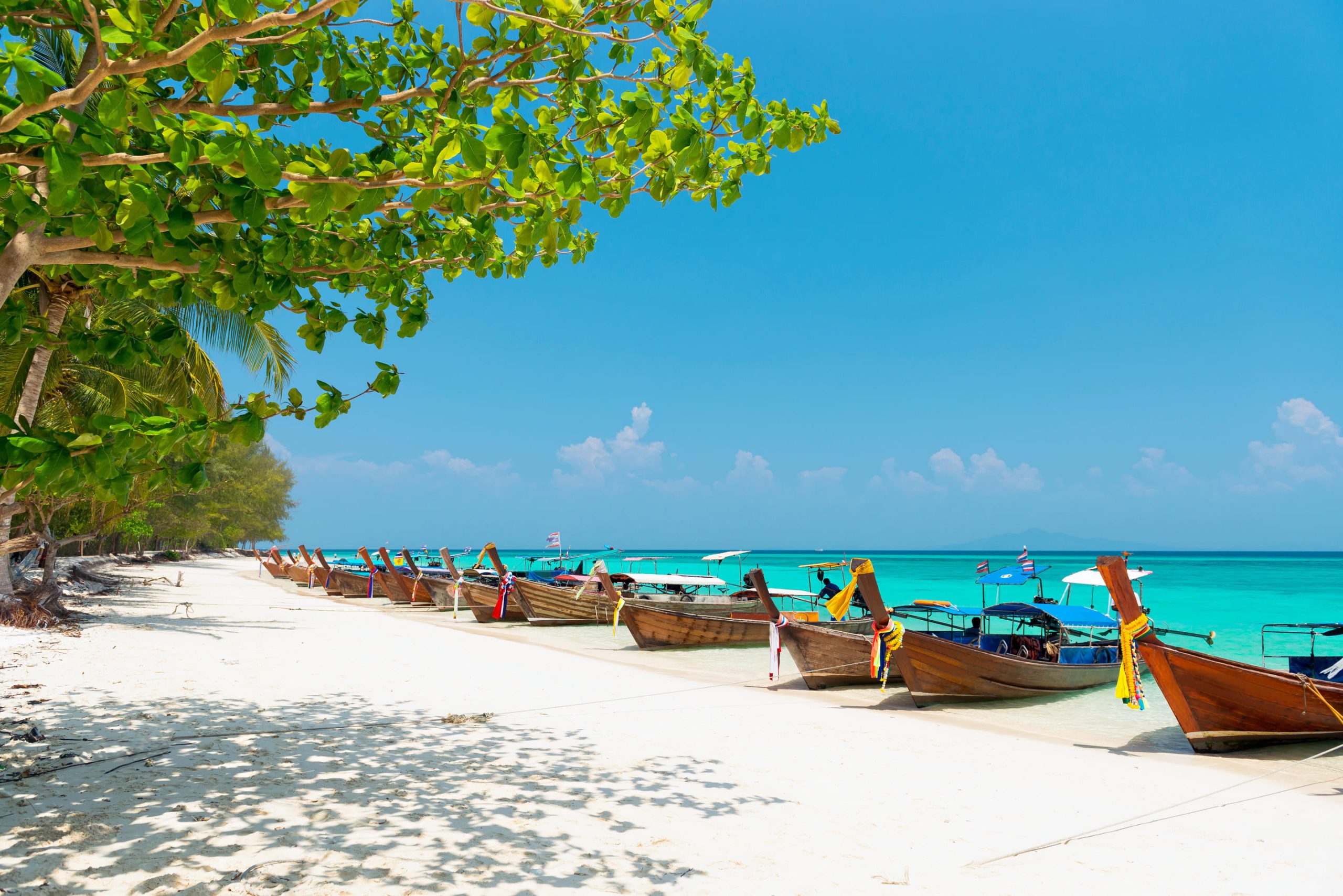  Bamboo Island
