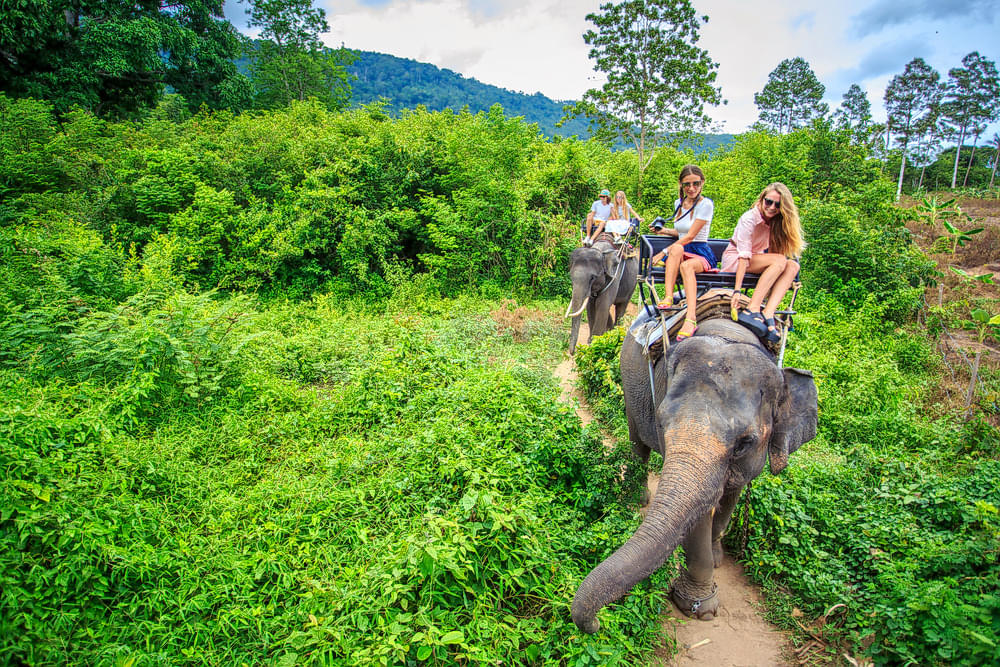  Elephant Sanctuary, Krabi